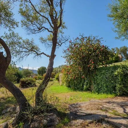 Stazzu Delle Aie Bilocale Grande Apartmán *