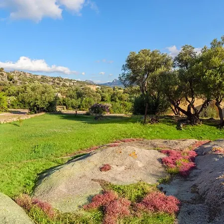 Stazzu Delle Aie Bilocale Grande Baia Sardinia